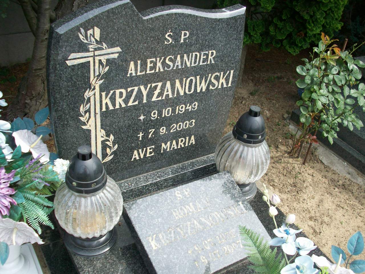 Aleksander Krzyżanowski 1949 Sława - Grobonet - Wyszukiwarka osób pochowanych