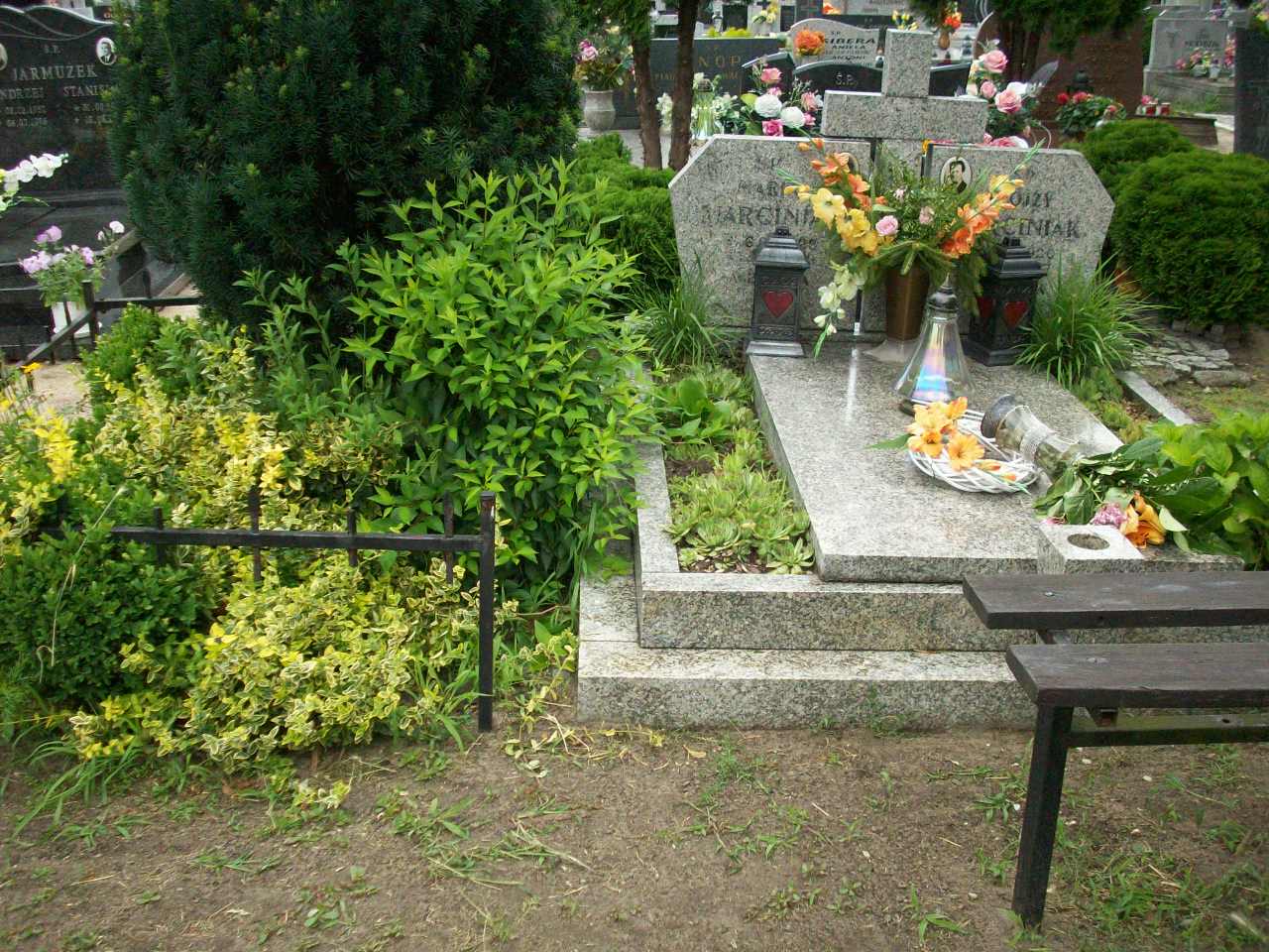 Alojzy Marciniak 1920 Sława - Grobonet - Wyszukiwarka osób pochowanych