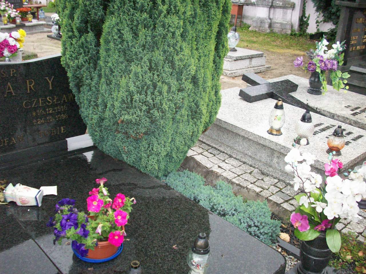 Stanisława Ostrowska 1949 Sława - Grobonet - Wyszukiwarka osób pochowanych