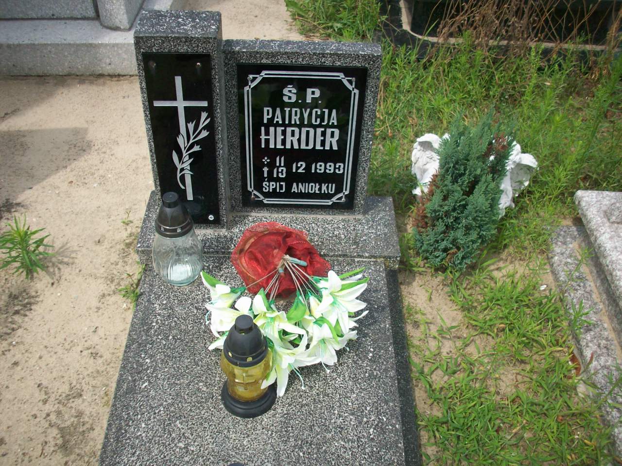 Andrzej Herder 1964 Sława - Grobonet - Wyszukiwarka osób pochowanych