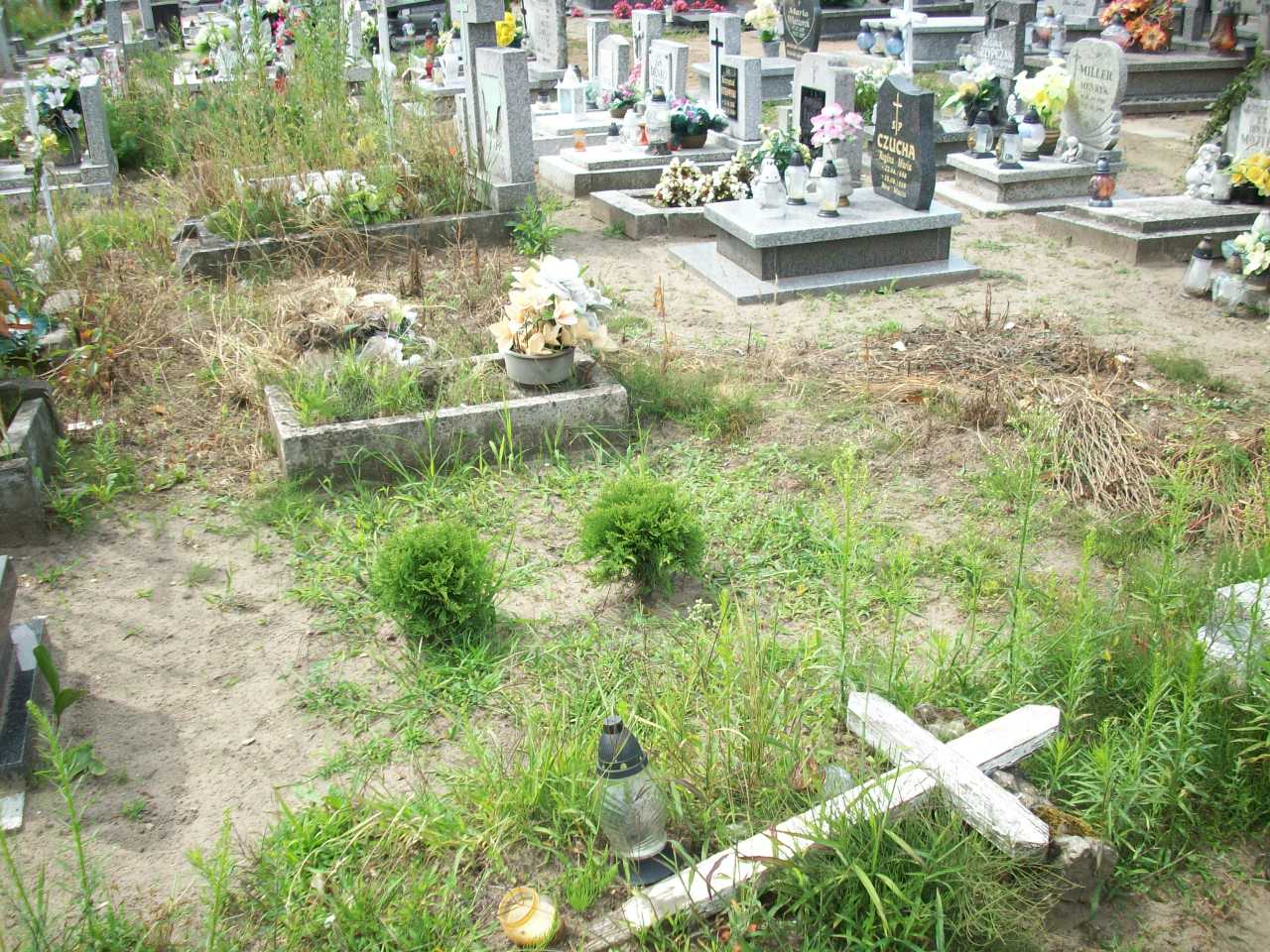 Kazimierz Malcher Sława - Grobonet - Wyszukiwarka osób pochowanych